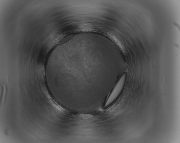 X0000091890397200709121444