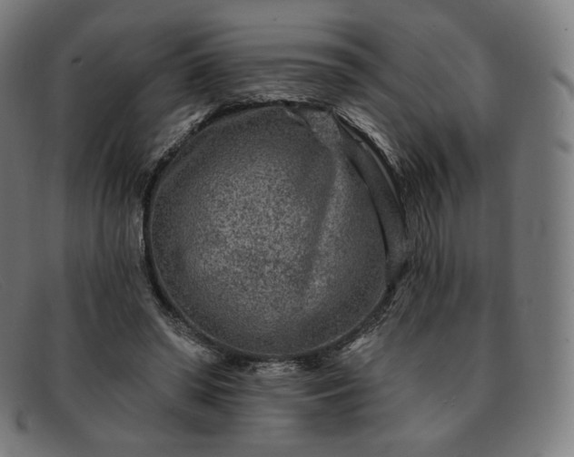 X0000091890398200709121444