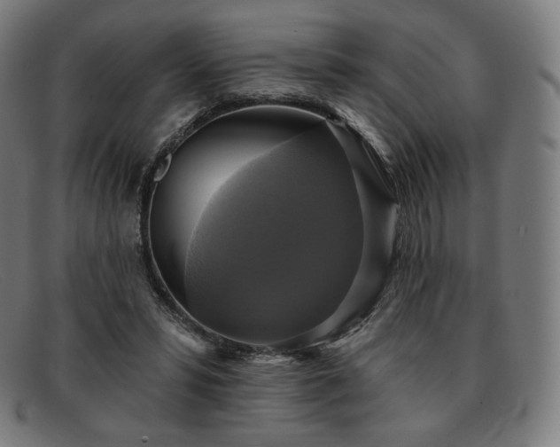 X0000091890399200709121444