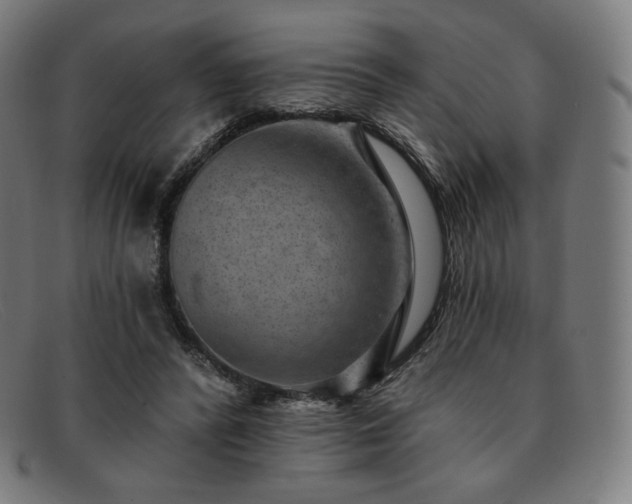 X0000091890400200709121444
