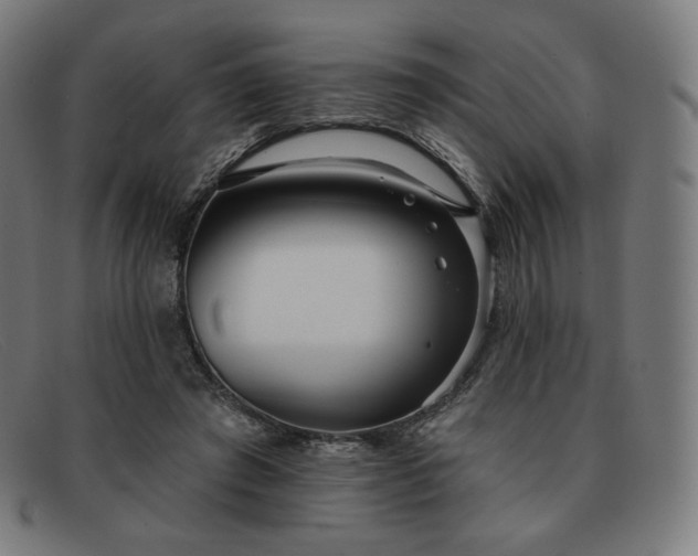X0000091890401200709121444