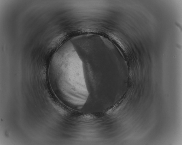 X0000091890402200709121444