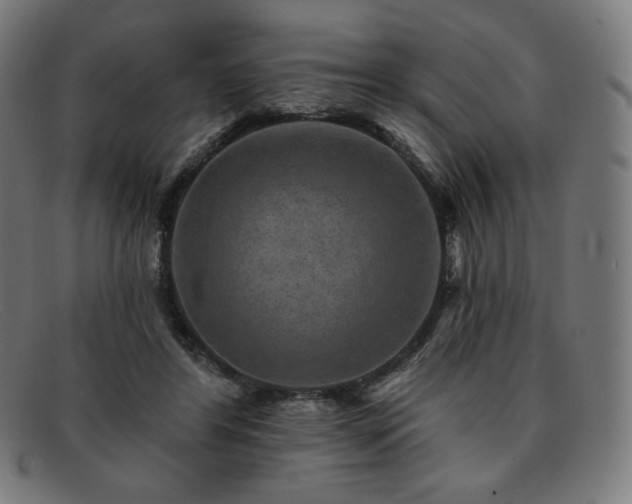 X0000091890404200709121444