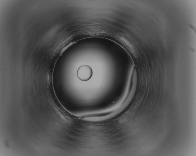 X0000091890405200709121444
