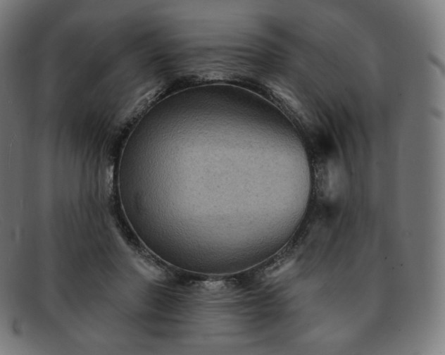 X0000091890406200709121444