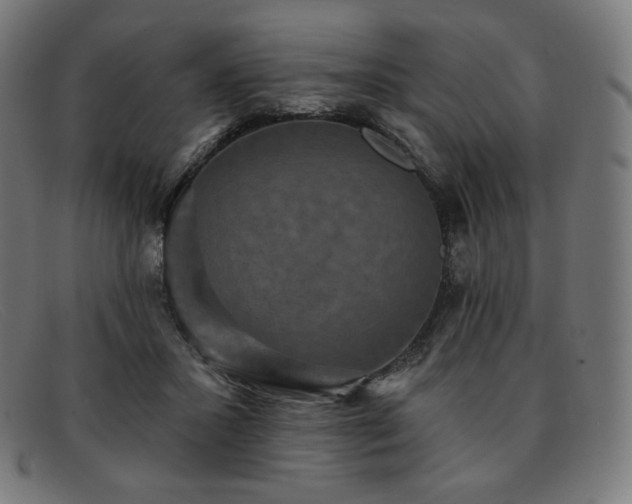 X0000091890407200709121444
