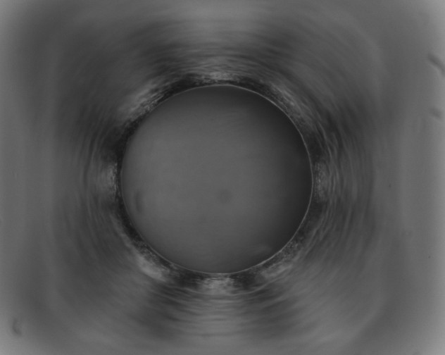 X0000091890410200709121444
