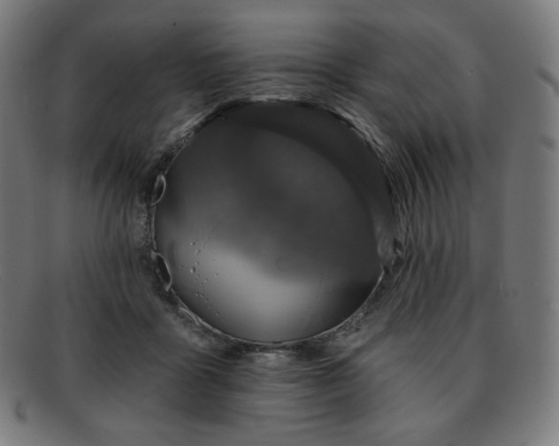 X0000091890411200709121444