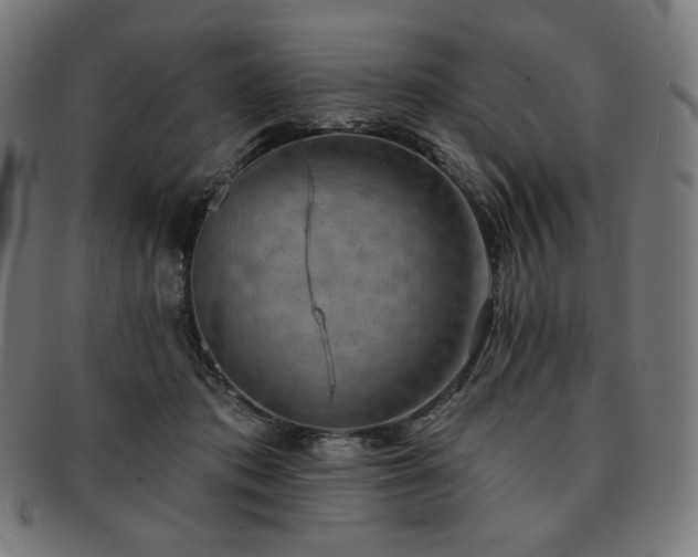 X0000091890413200709121443