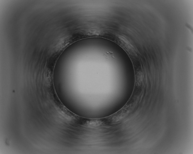 X0000091890414200709121443