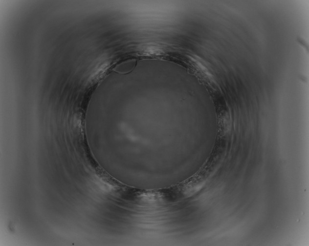 X0000091890415200709121443