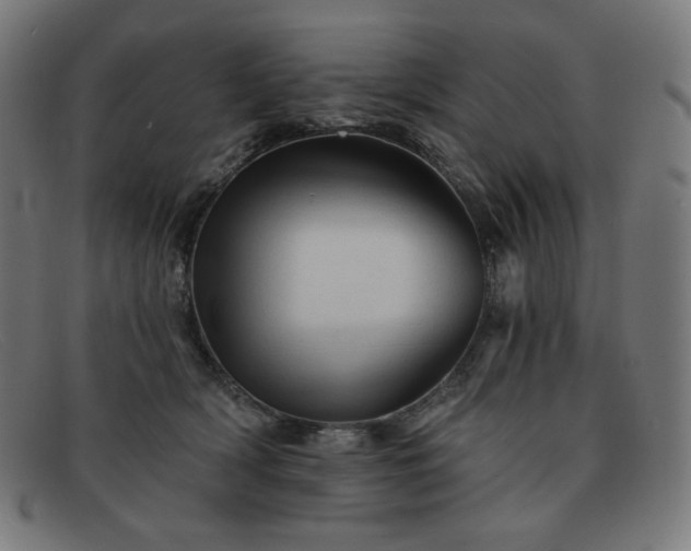X0000091890418200709121443