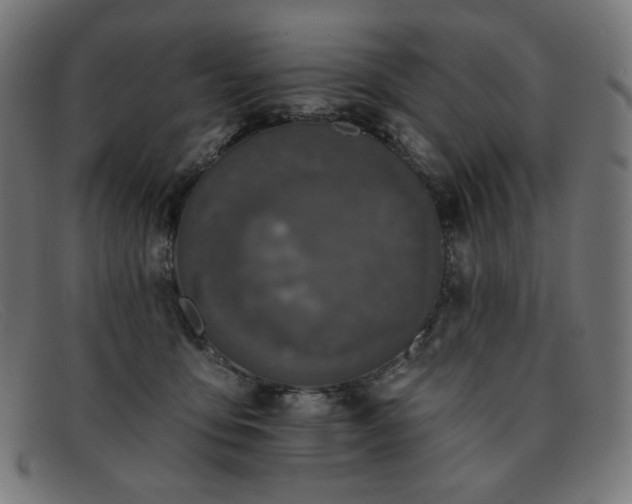 X0000091890419200709121443