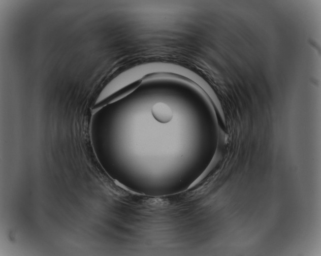X0000091890421200709121443