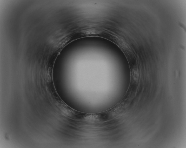 X0000091890422200709121443