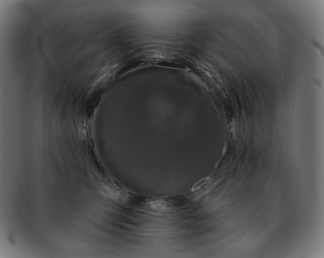 X0000091890423200709121443