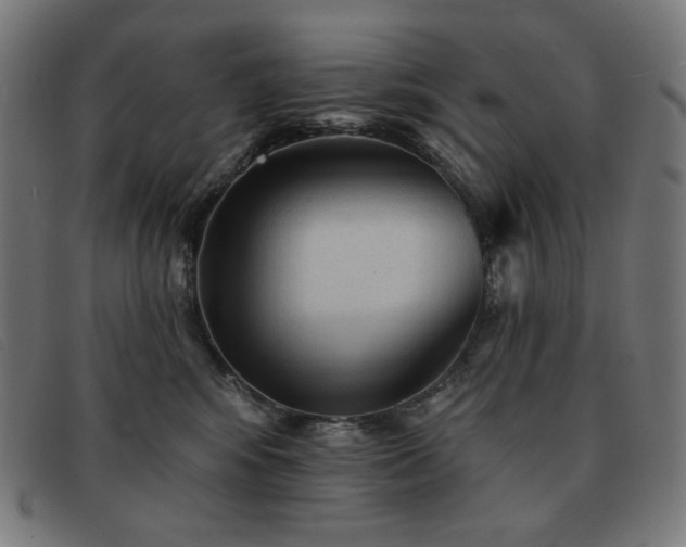 X0000091890424200709121443