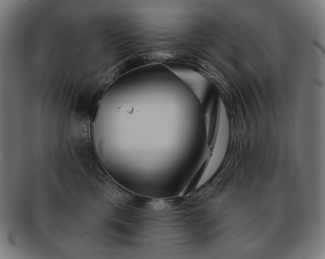 X0000091890425200709121443