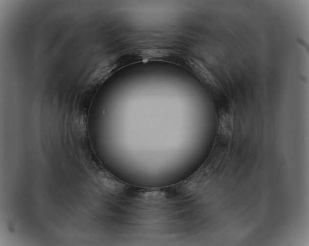 X0000091890426200709121443