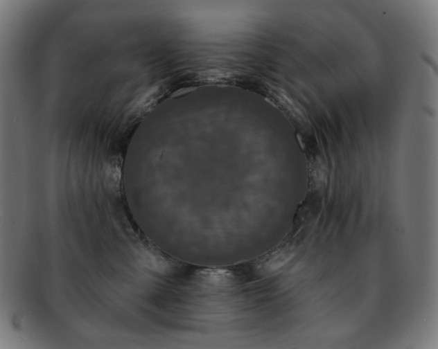 X0000091890427200709121443