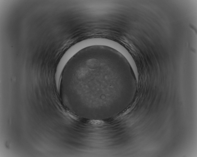 X0000091890429200709121443