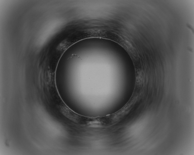 X0000091890430200709121443