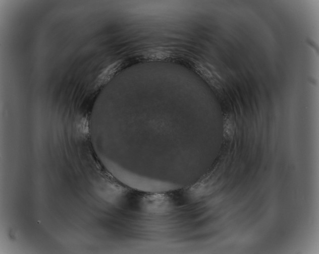 X0000091890431200709121443