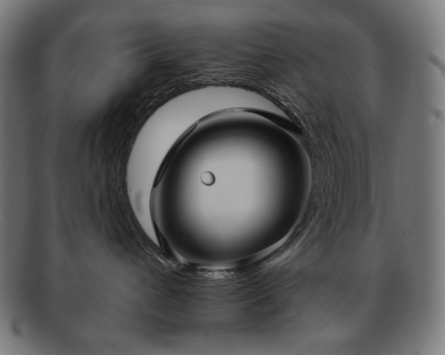 X0000091890432200709121443