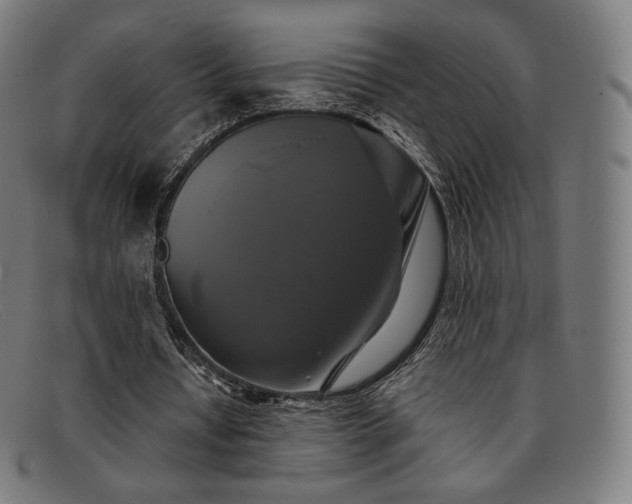 X0000091890434200709121443