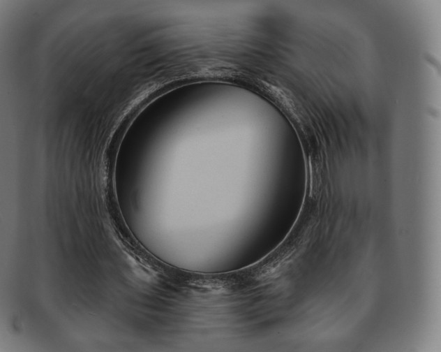 X0000091890435200709121443