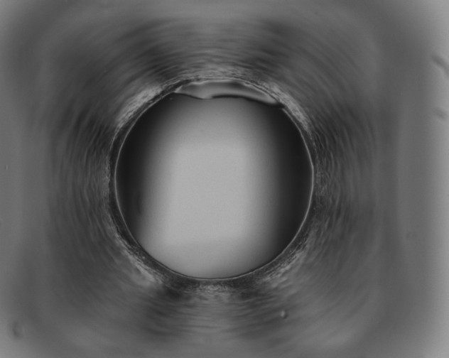 X0000091890437200709121443