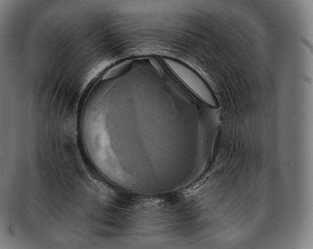 X0000091890438200709121443