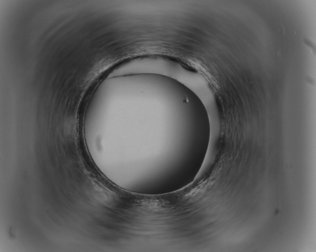 X0000091890439200709121443