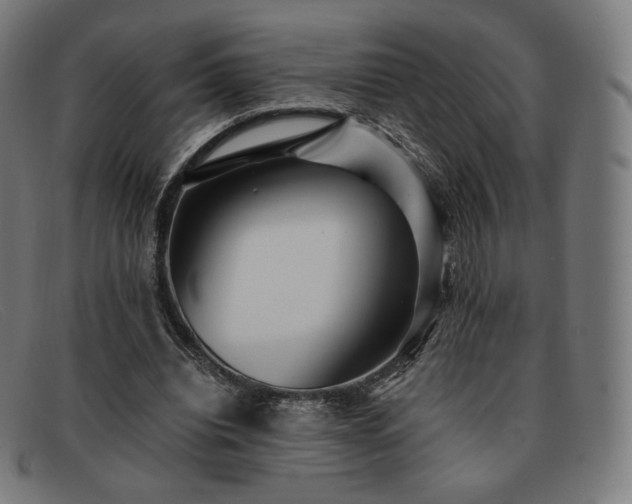 X0000091890440200709121443
