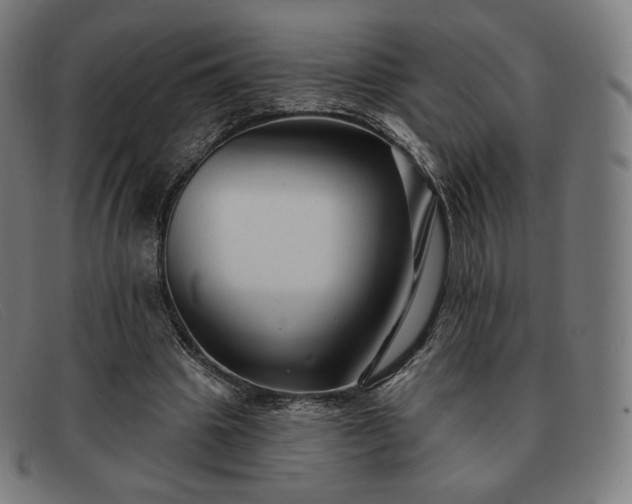 X0000091890441200709121443
