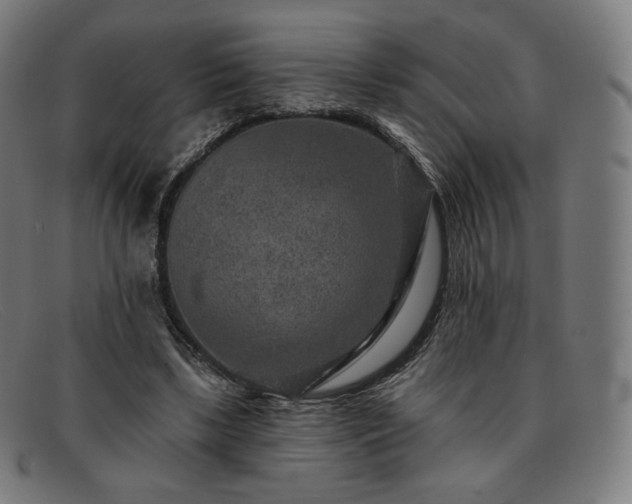 X0000091890443200709121443