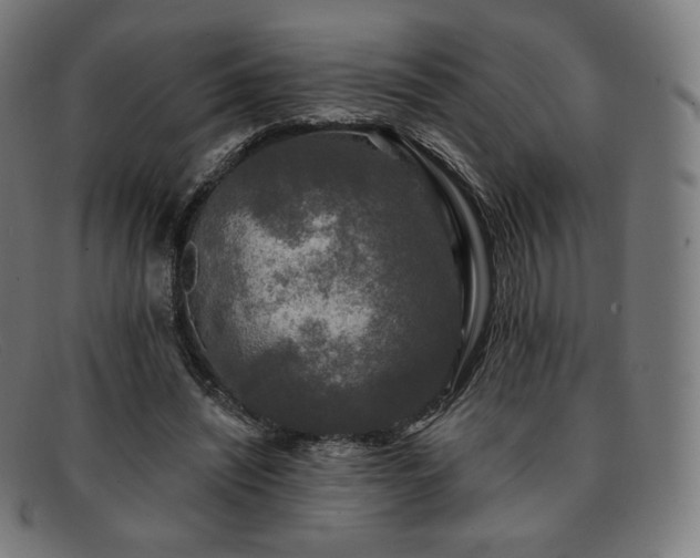 X0000091890444200709121443