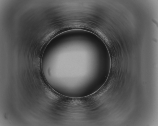 X0000091890445200709121443