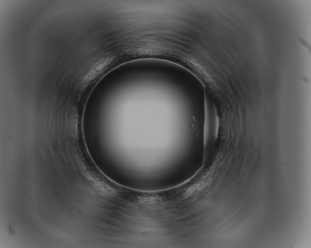 X0000091890446200709121443