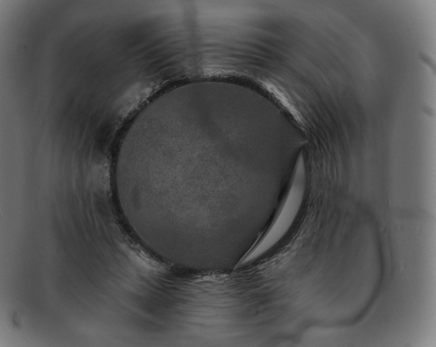 X0000091890447200709121443
