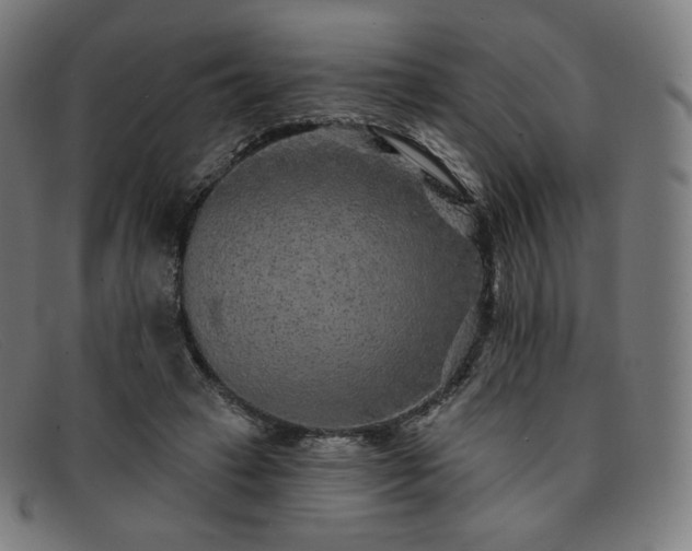 X0000091890449200709121443