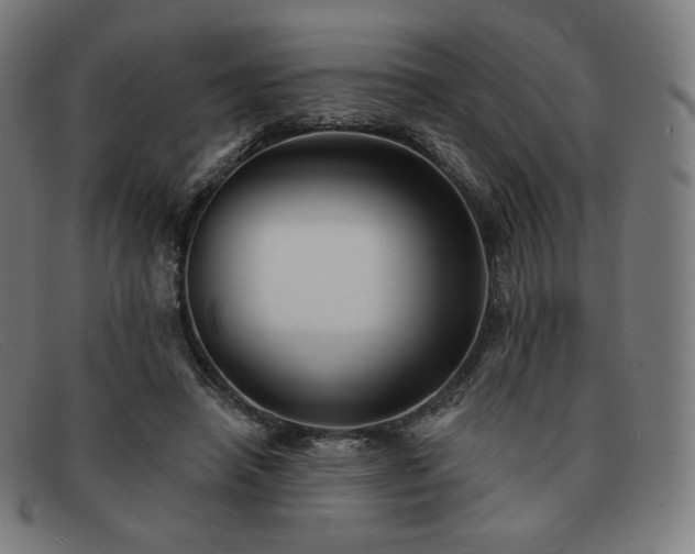 X0000091890450200709121443