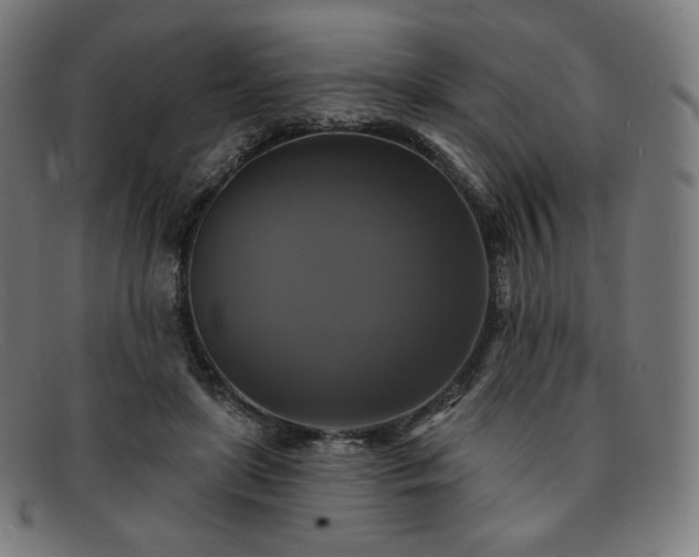 X0000091890451200709121443