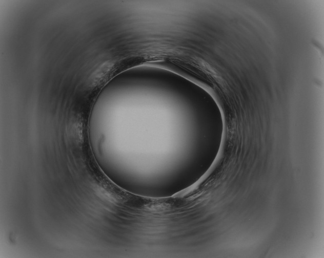 X0000091890452200709121443