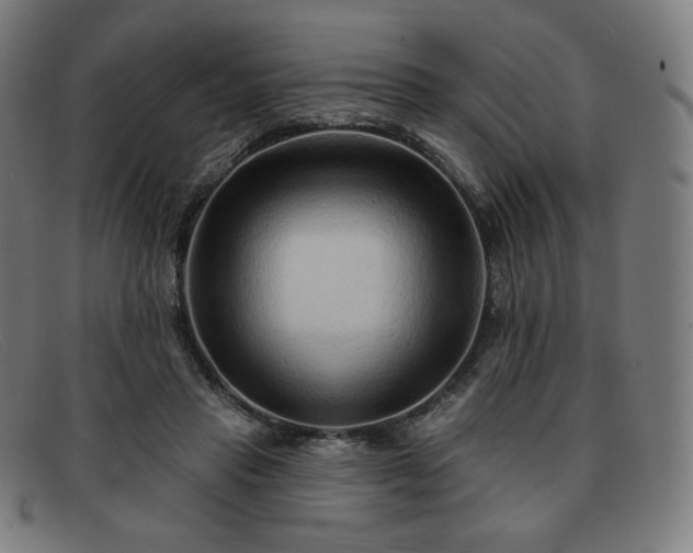 X0000091890453200709121443