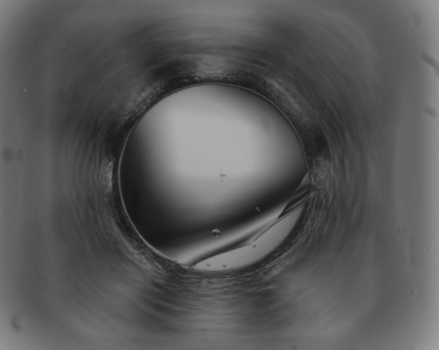 X0000091890454200709121443