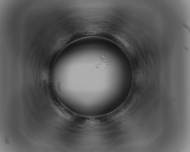 X0000091890455200709121443