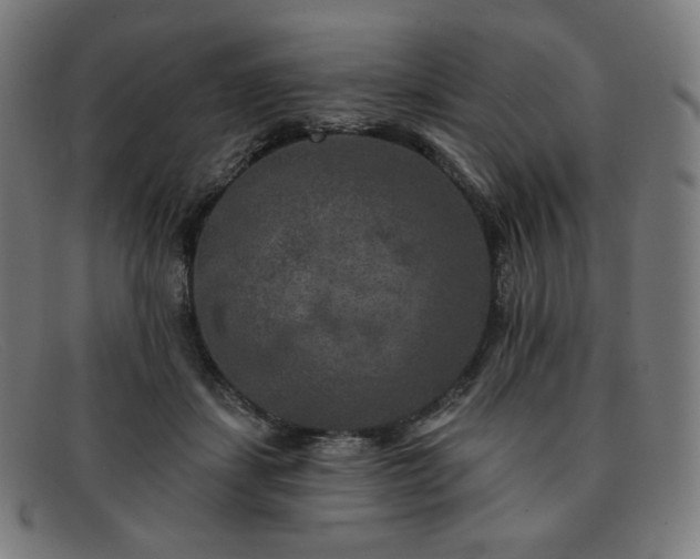 X0000091890459200709121443