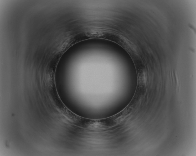 X0000091890460200709121443