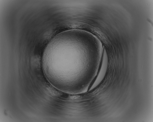 X0000091890461200709121443